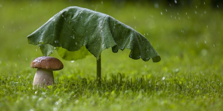 29-августта өлкөдө күтүлгөн аба ырайы