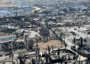 Гавайидеги өрттөн каза болгондордун саны 93кө жетти