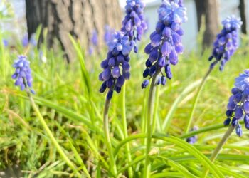 16-августка карата өлкөдө күтүлгөн аба ырайы