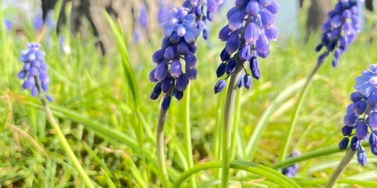 16-августка карата өлкөдө күтүлгөн аба ырайы