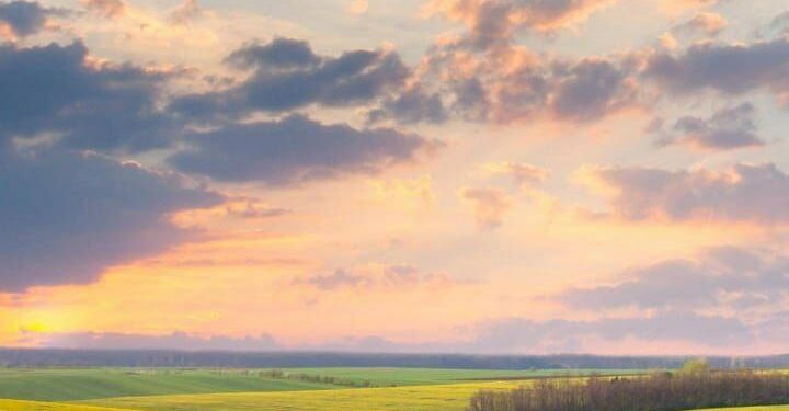 23-августка карата аба ырайы тууралуу маалымат