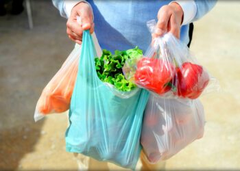 Өлкөдө 2027-жылдан тарта полимер пленкасынан жасалган пакеттерди жана пластик буюмдарды өндүрүүгө, сатууга тыюу салынат