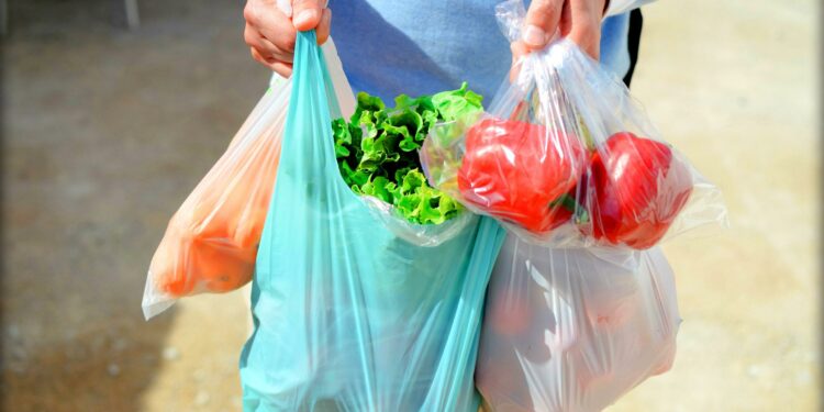 Өлкөдө 2027-жылдан тарта полимер пленкасынан жасалган пакеттерди жана пластик буюмдарды өндүрүүгө, сатууга тыюу салынат