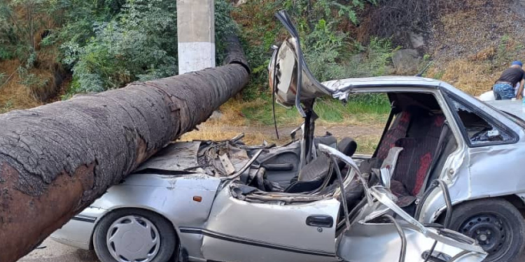 Ошто суу түтүгү унаага кулап, каза болгон ата-бала. Жүк ташуучу унаанын айдоочусу кармалды