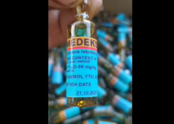 Жалал-Абадда жылан уусунун ири партиясын сатууга аракет кылышты (видео)