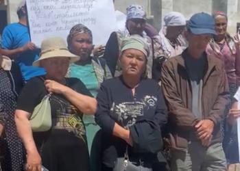 Таластын тургундары сүт маселесинен улам митингге чыгышты (видео)