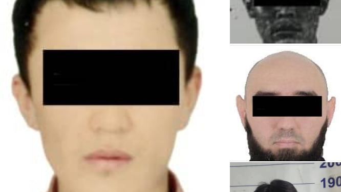 «Өлкөдөн 23 миллион доллар чыгарып кеткен». Интерпол бир нече адамды кармады