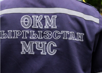 Бишкекте 67 жаштагы кишинин жансыз денеси табылды