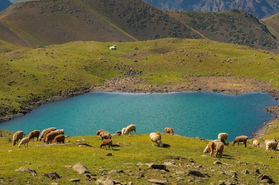 9-августка карата өлкөдө күтүлгөн аба ырайы