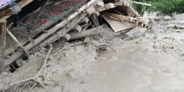 «Элдик кабарчы»: «Ала-Буканын Чоң-Сай айылында сел жүрдү» дейт тургун