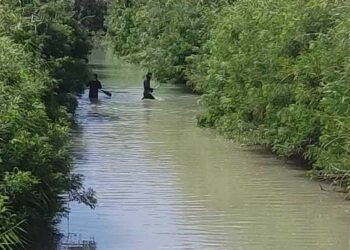 Озерное айылындагы көлмөгө эркек киши чөгүп кеткен