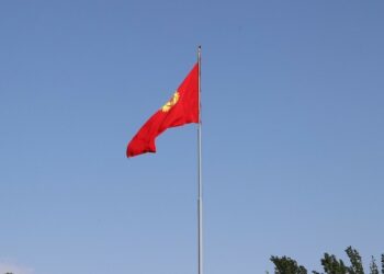 Депутат байпак менен ич кийимге мамлекеттик символдорду баспоону талап кылды