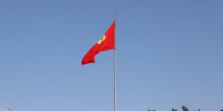 Депутат байпак менен ич кийимге мамлекеттик символдорду баспоону талап кылды