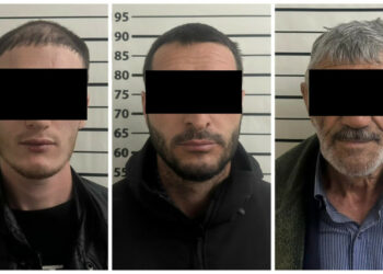 Жаңы-Жердеги адам өлтүрүү. Шектүүлөр кармалды