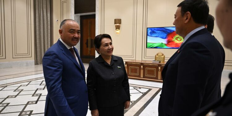 Нурланбек Шакиев Өзбекстандын Олий Мажлисинин сенатынын төрайымы менен жолукту