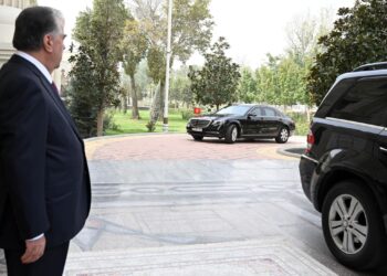 Садыр Жапаров Эмомали Рахмон менен жолугушууда чек араны сүйлөштү