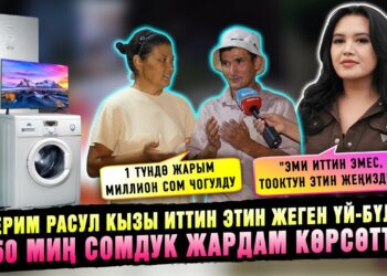 Айгерим Расул кызы иттин этин жеген үй-бүлөгө 150 миң сомдук жардам көрсөттү