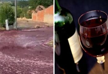 Португалияда шарап көчөлөрдү аралап шаркырап акты (видео)