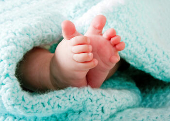 Министрлик: Өнөктөштүк төрөт убактылуу гана токтотулду