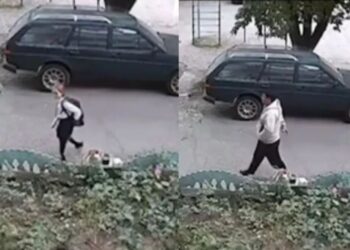 Бишкекте окуучу кыздын артынан белгисиз киши үйүнө чейин аңдып барган. Текшерүү башталды