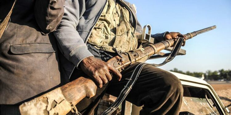 Нигерияда террордук уюмдун 39 мүчөсү атып өлтүрүлүп, 159у кармалды