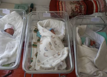 Сүйүнчү! Бишкекте 3 эм уул төрөлдү