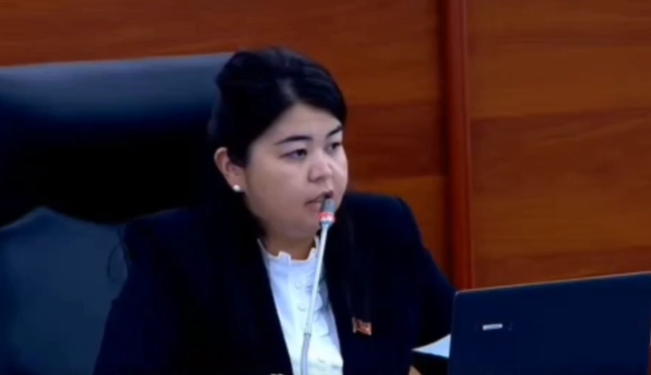 «Өлгөндө гана көзөмөлгө алынабы?». Депутат кулак-мурду кескиленген келиндин окуясы боюнча милицияга нааразы болду