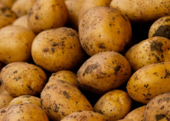 Депутат картошканын баасы 8 сом экенин айтып, нааразы болду