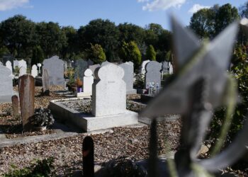 “Ала-Арча” көрүстөнүндө орун жок калып бара жатат. Байтик айылынан 22 гектар жер трансформацияланат