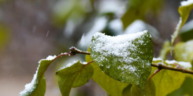 31-октябрдан 2-ноябрга чейин абанын температурасы төмөндөйт