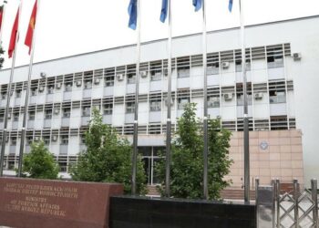 Түркияда мурдагы жолдошу тарабынан сабалган кыргыз келини боюнча ТИМ үн катты