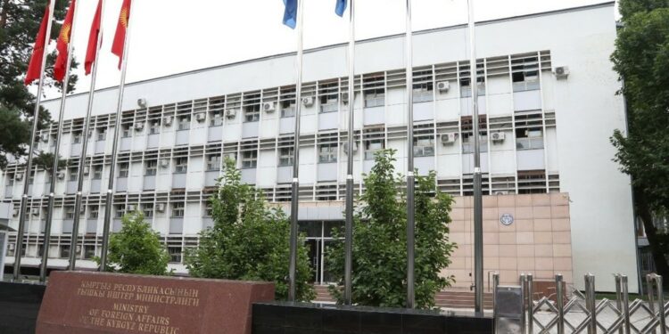 Түркияда мурдагы жолдошу тарабынан сабалган кыргыз келини боюнча ТИМ үн катты