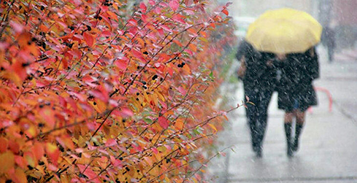 27-октябрда көпчүлүк аймактарда жаан жаайт