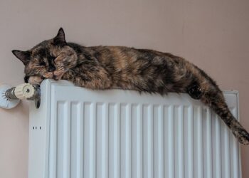 Бишкекте жылуулук 31-октябрдан тарта бериле баштайт