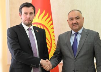 Шакиев Улуу Британиянын элчисине: «Ишке орноштуруу жаатындагы кызматташтыкты кеңейтүү зарыл»