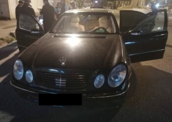 20 килограмм гашиш жана 10 килограмм апийим чийкиси бар жүктүн ээси кармалды