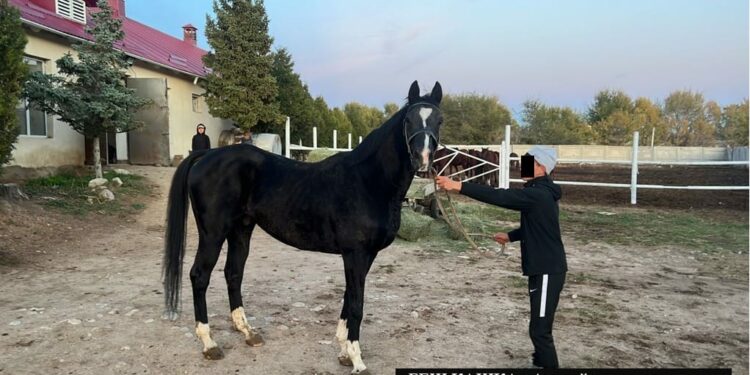 Көлбаевдин күлүктөрү… УКМК кезектеги тизмени жарыялады