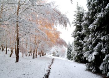 Чуңкурчактагы жомоктогудай кыш (фото, видео)