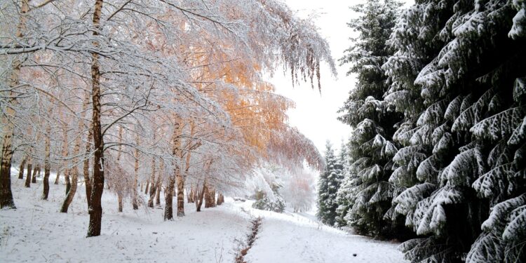 Чуңкурчактагы жомоктогудай кыш (фото, видео)
