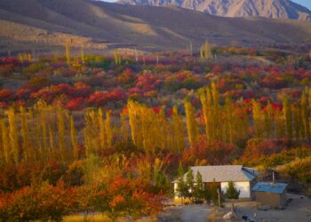 Көз жоосун алган өрүкзарлуу Баткен. Фото, видео