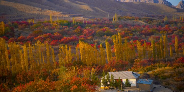Көз жоосун алган өрүкзарлуу Баткен. Фото, видео