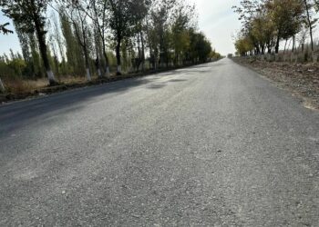 Ала-Букада Айры-Там — Шекафтар жолунун асфальтталган тилкеси ачылды