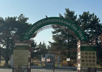 Ботаникалык бактын аймагынан жер тилкелерин мыйзамсыз бергендер кармалды