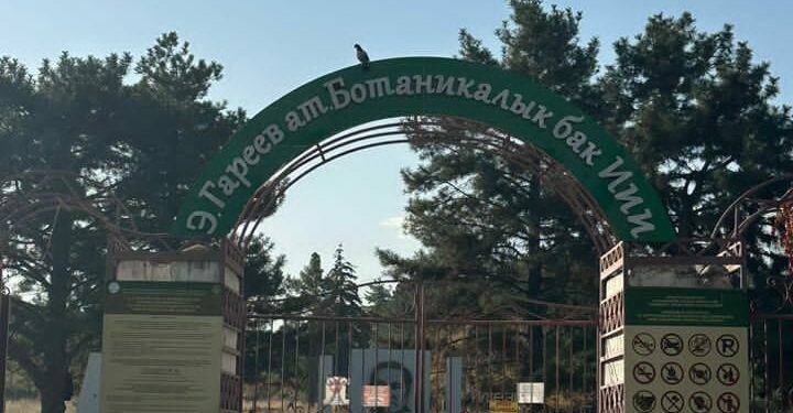 Ботаникалык бактын аймагынан жер тилкелерин мыйзамсыз бергендер кармалды