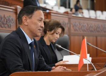 Депутат Транспорт министринин орун басарын айыптап, УКМКга кайрылды