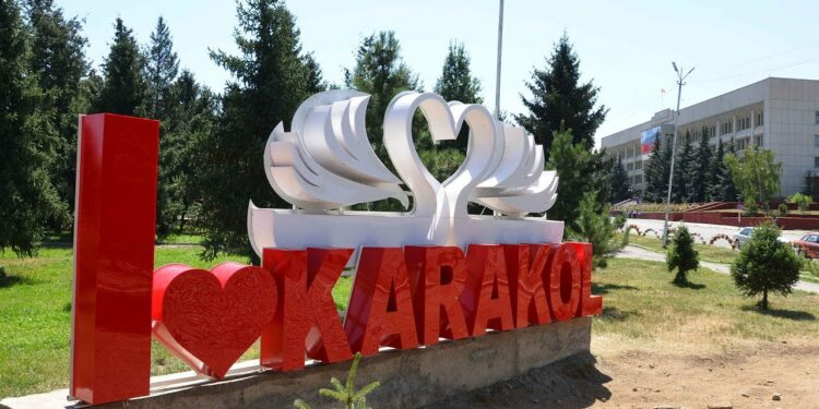 Караколдо жансыз денеси чуңкурдан табылган окуучу. Анын телефонунда видео кайрылуу болгон