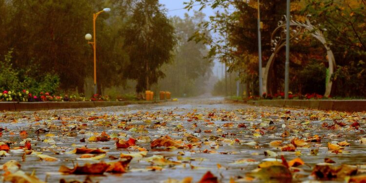 28-октябрга карата өлкөдө күтүлгөн аба ырайы