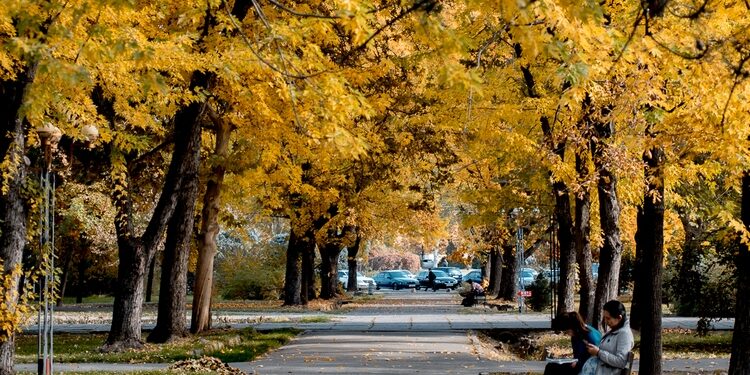 3-октябрга карата өлкөдө күтүлгөн аба ырайы