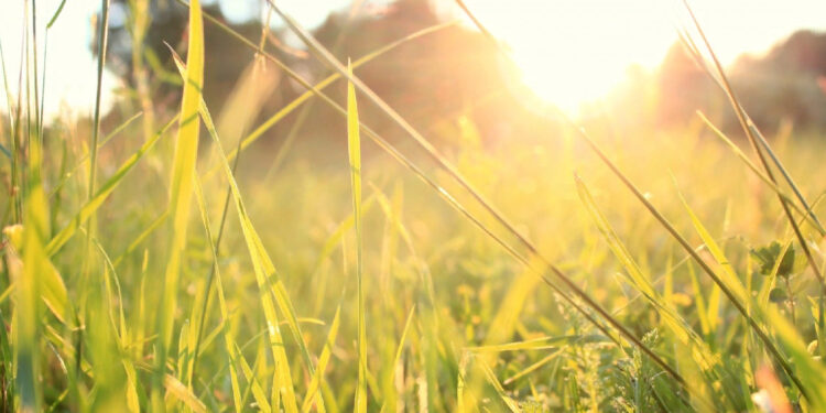 4-октябрга карата өлкөдө күтүлгөн аба ырайы