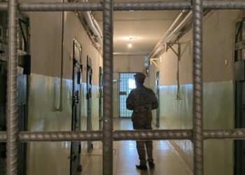 “Лимонти” каймана аттуу кримтөбөлдүн бир тууганы кармалганы айтылды